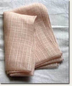 �����᥹�ȡ���3